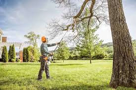 Best Tree Trimming and Pruning  in Livingston, CA