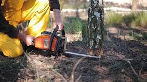 Best Aeration Services  in Livingston, CA