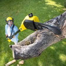 Best Tree Mulching  in Livingston, CA