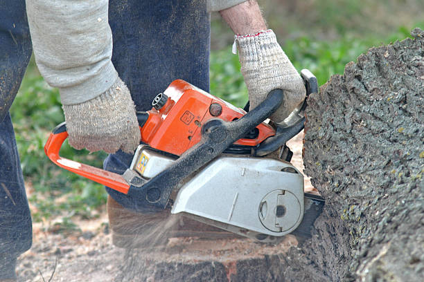 Best Lawn Mowing  in Livingston, CA